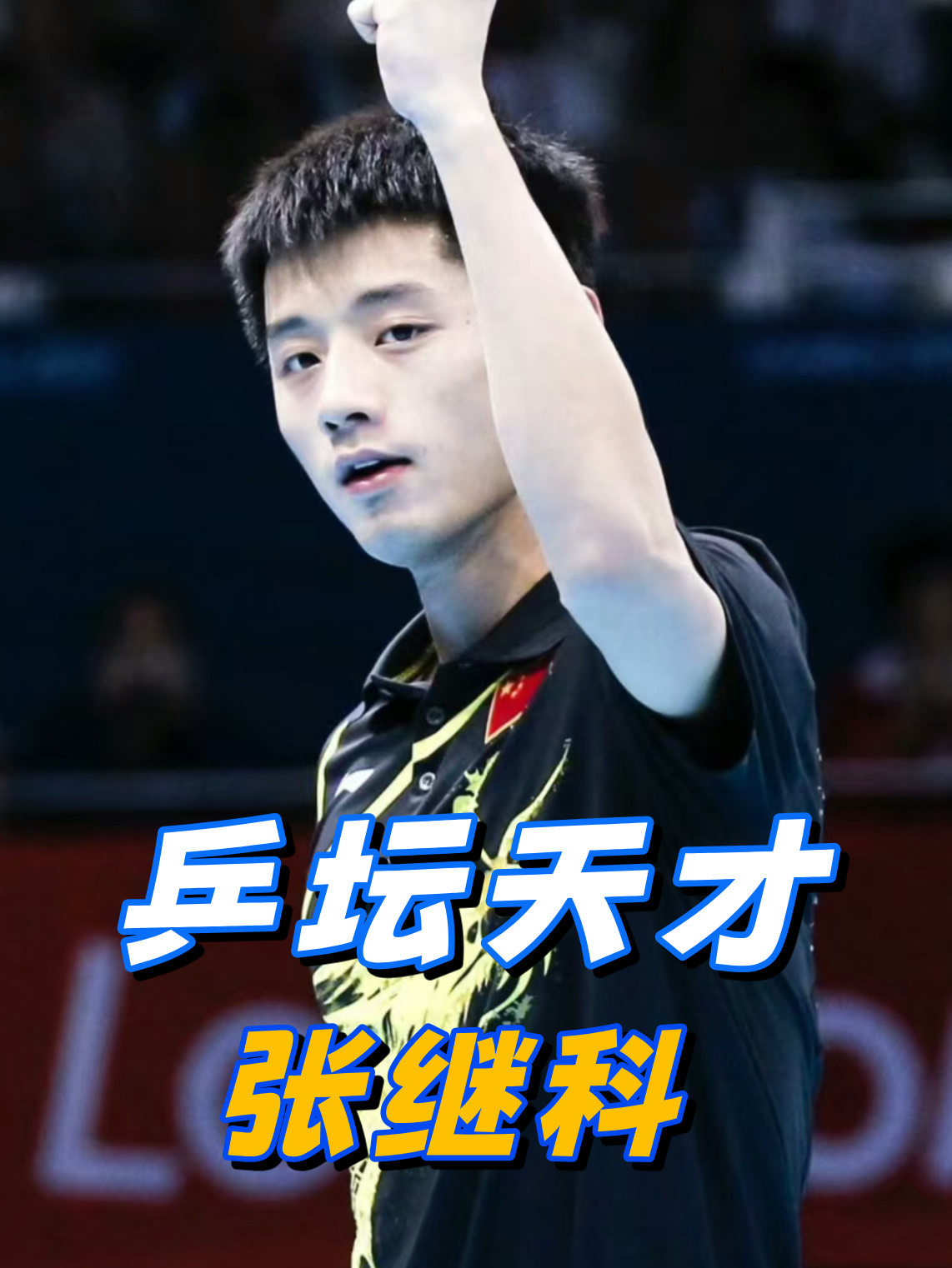 开云体育平台APP-中国队碾压波兰队，张继科状态火热的简单介绍