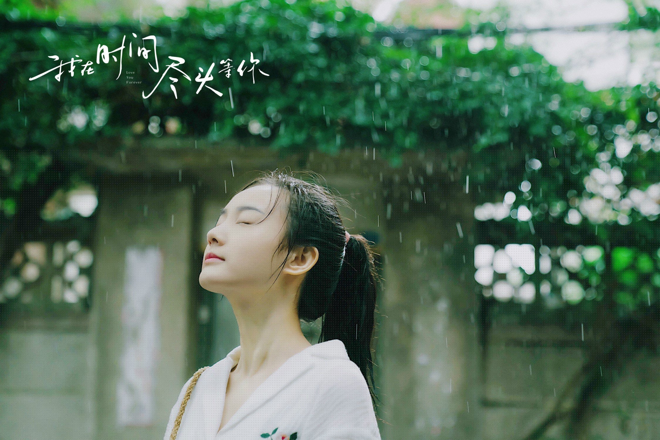 开云体育登录-2026北美夏夜，当三分雨浇灌足球圣殿