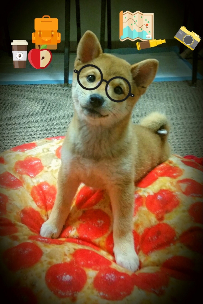 冠军基因，当篮网打穿新疆，范弗利特在德甲接管战场—跨越体育的终极领导力法则