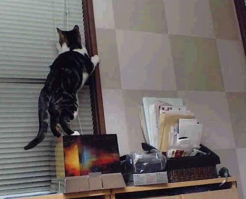 双星闪耀，佩德里用才华击穿密防，塞内加尔以铁链锁死C罗