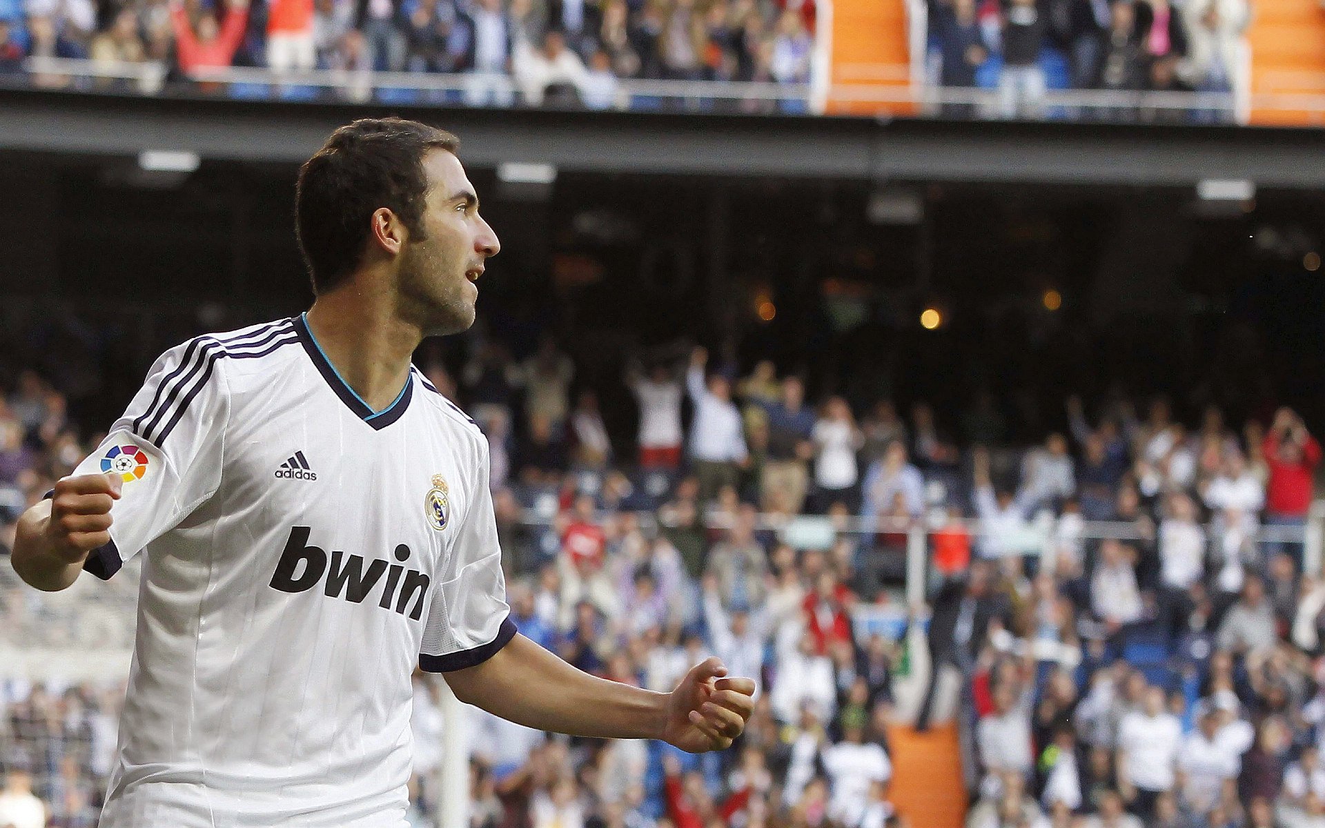 开云体育app-铁幕下的唯一亮光，霍勒迪于世界排名之夜上演孤独封神战