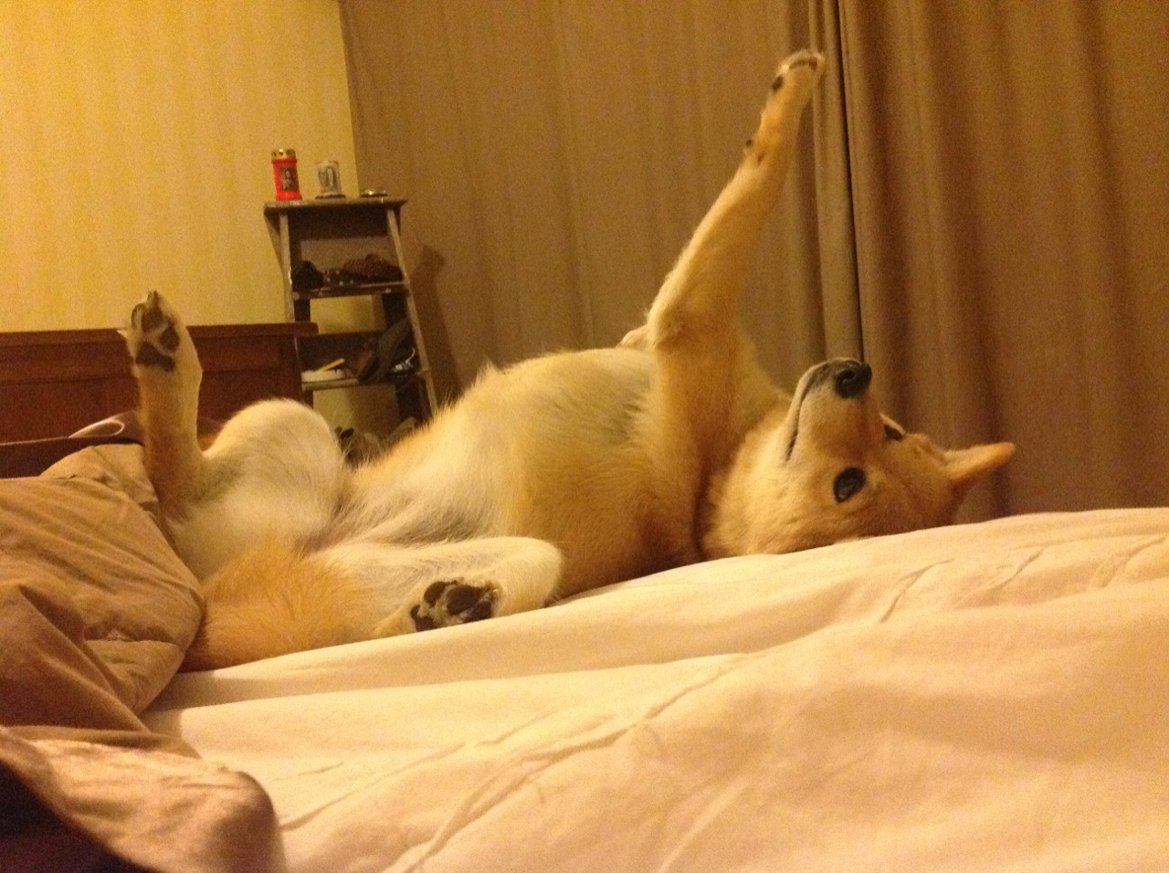 从曼城到欧洲杯，战术轴心如何改写比赛—斯通斯与乌克兰的新质战斗力