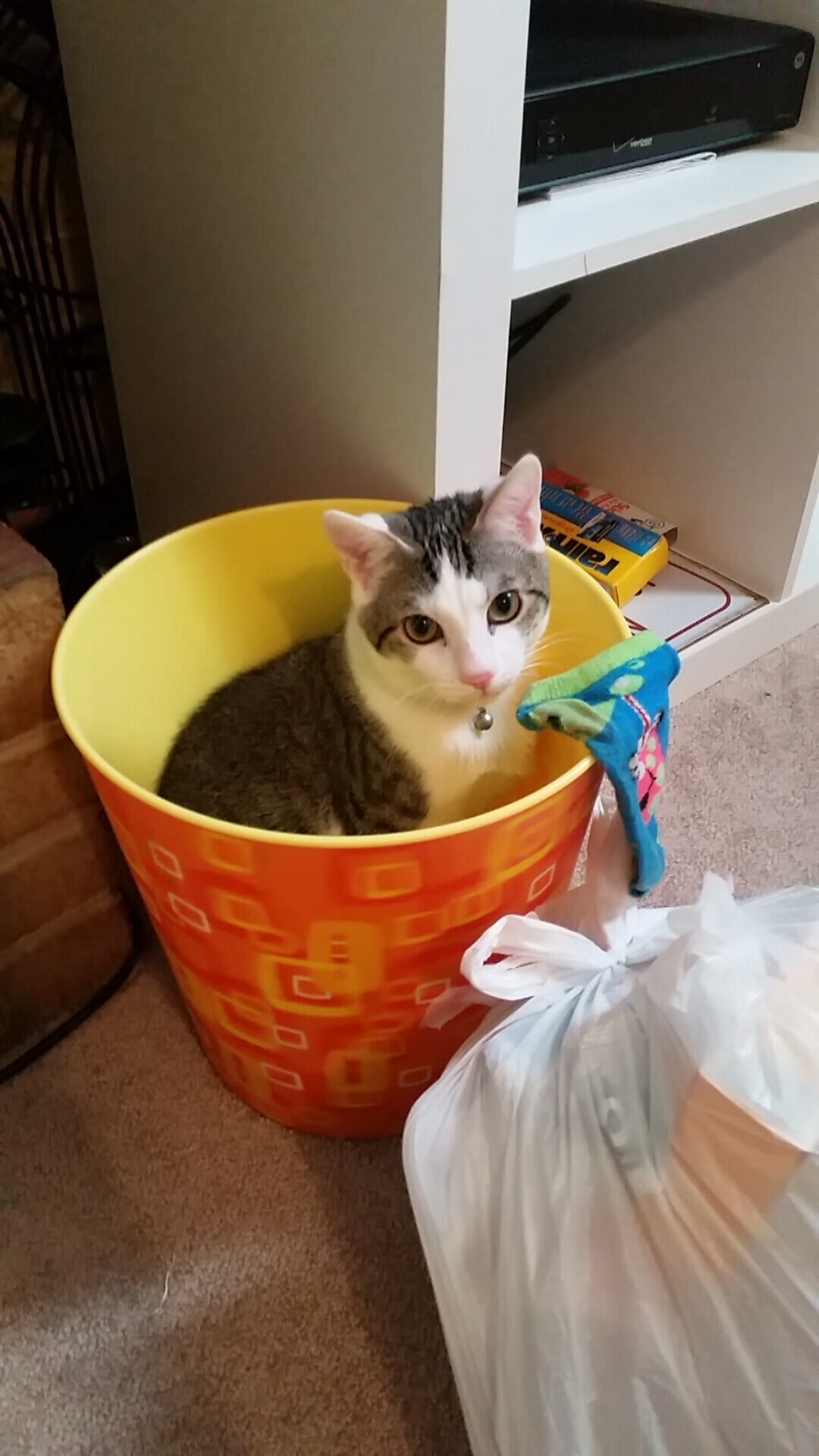 西决生死战之夜，当锡安用背身单打回应客场嘘声