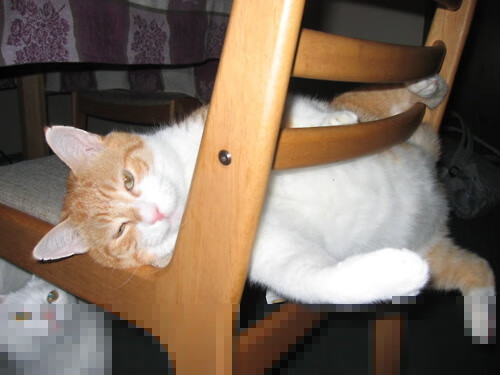 当他成为关键先生，却在南非的狂风骤雨中学会输球，贝林厄姆的另类成人礼