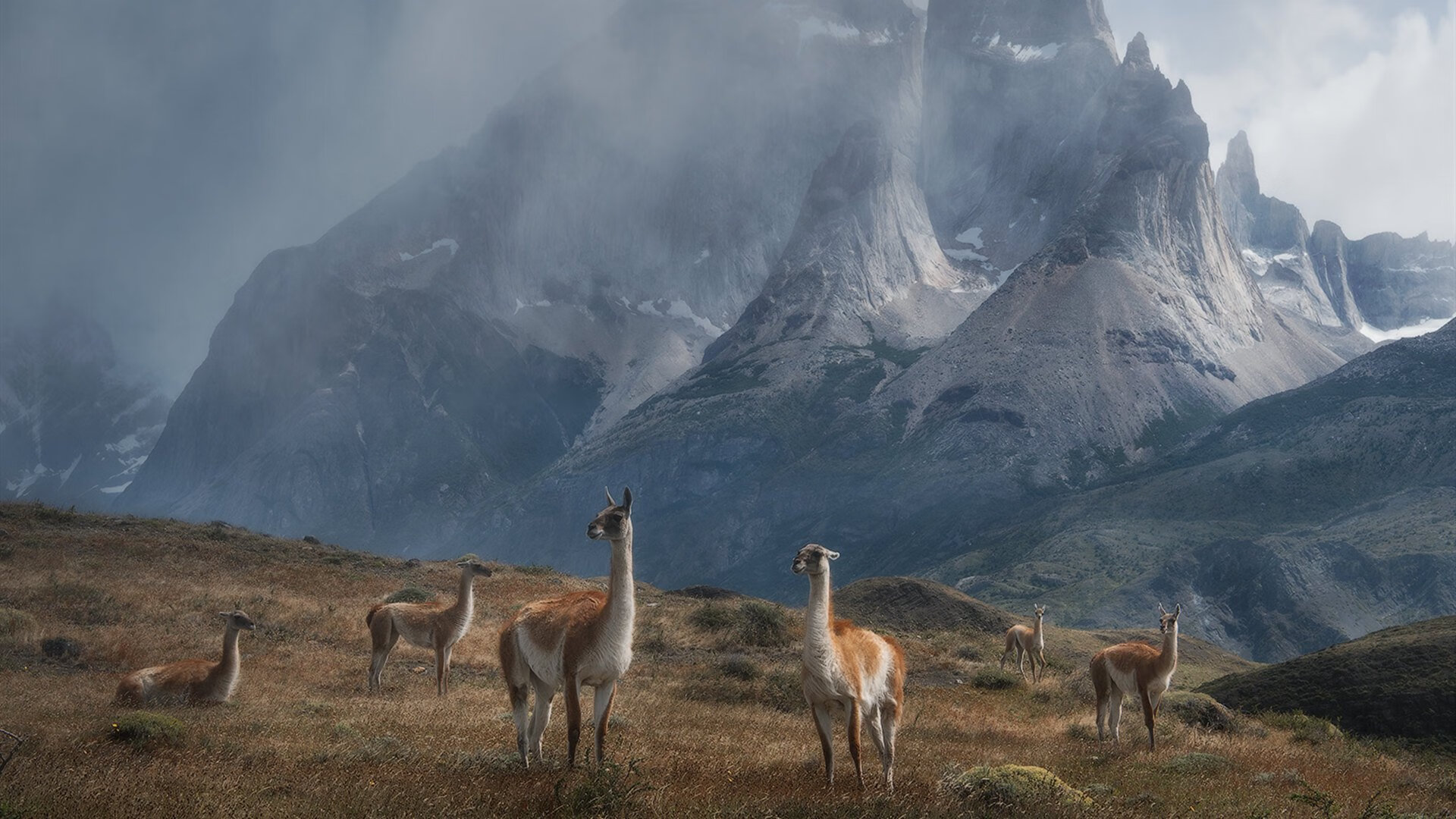 戈贝尔爆发筑起禁飞区，凯尔特人如国际象棋大师踏平深圳队战术体系