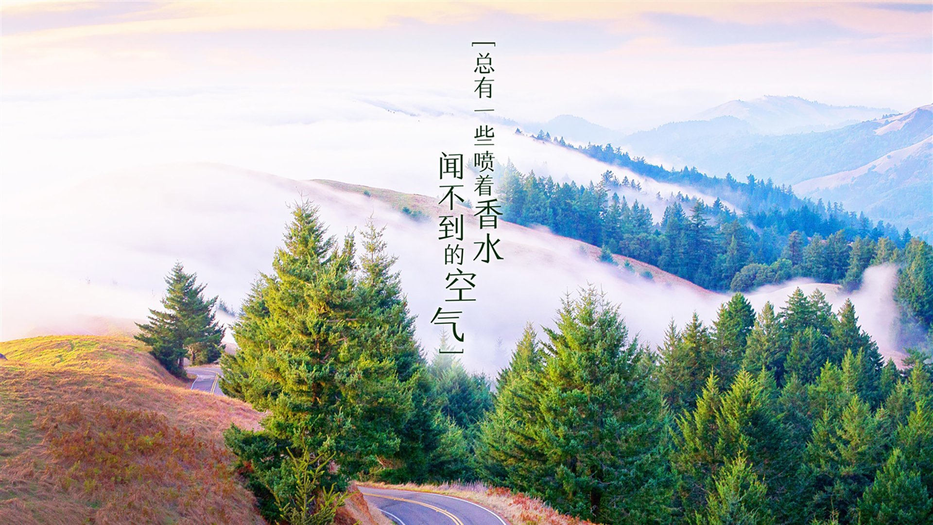 2026世界杯G组冰火对决,萨内独造三球,冰岛维京怒吼全场压制奥地利