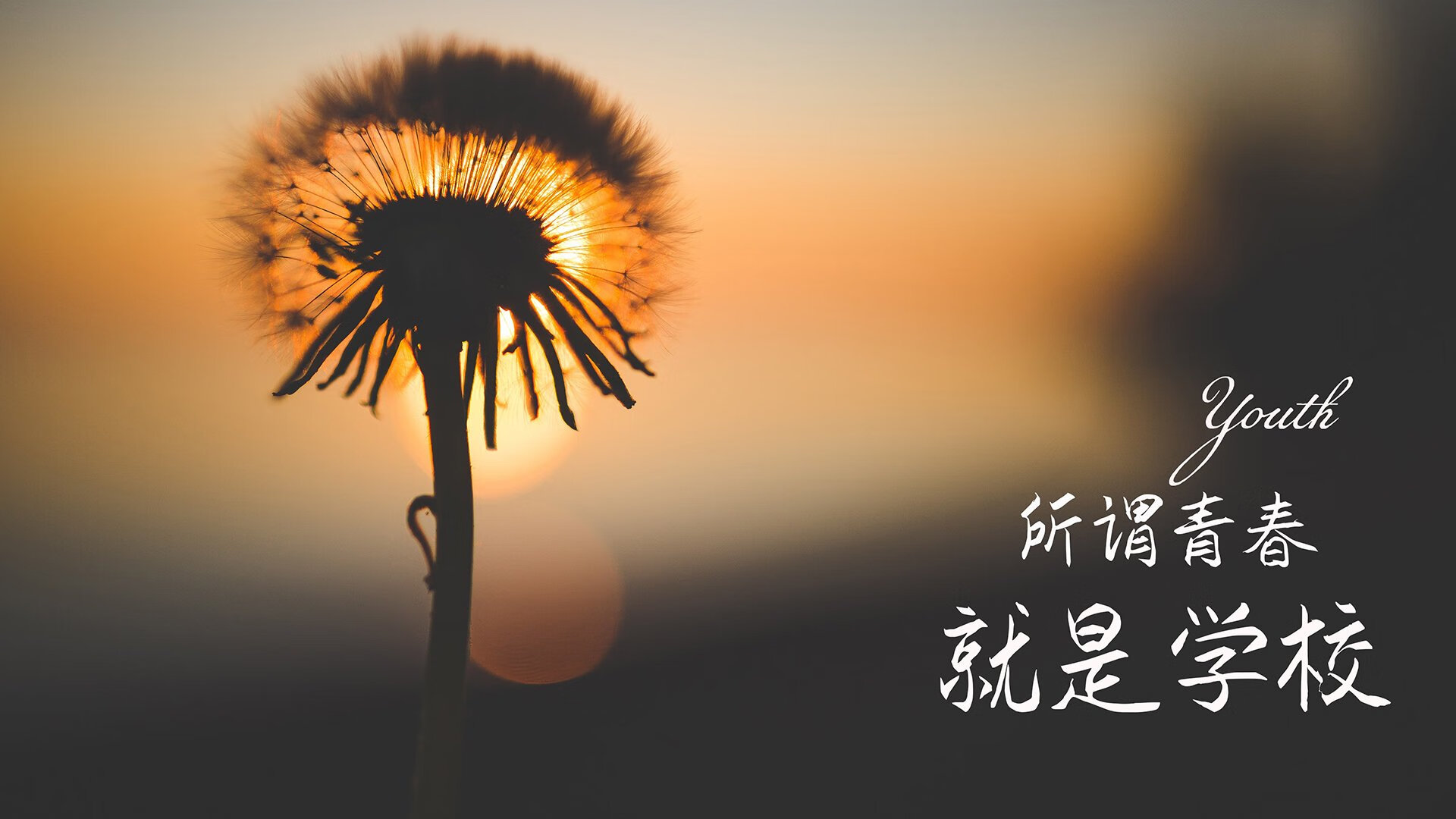 开云体育中国-刹那即永恒，当喧哗归于沉寂，唯有这粒绝杀定义了2026的唯一