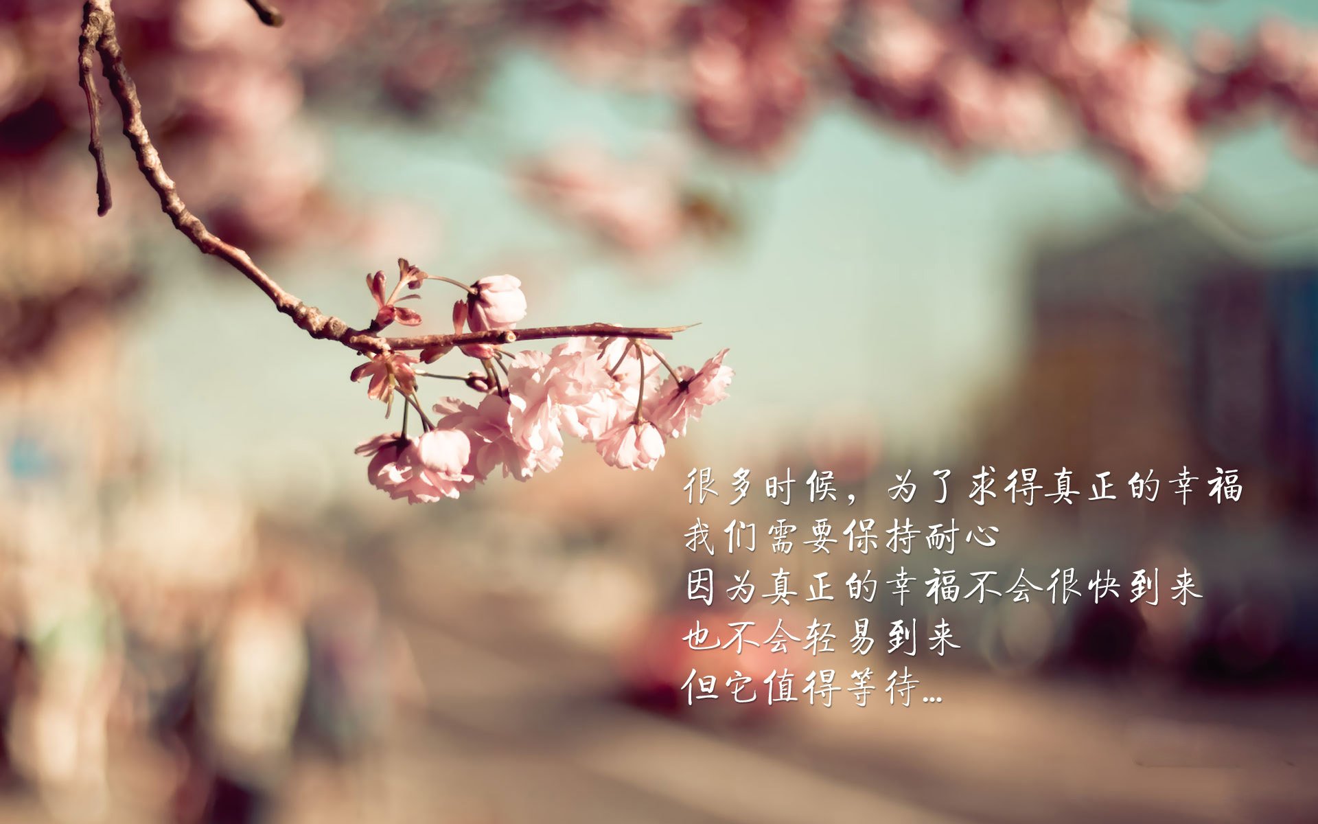 开云体育官网-北欧冰火交织之夜，布罗佐维奇的间谍使命，如何撕裂瑞典与丹麦的兄弟宿命？