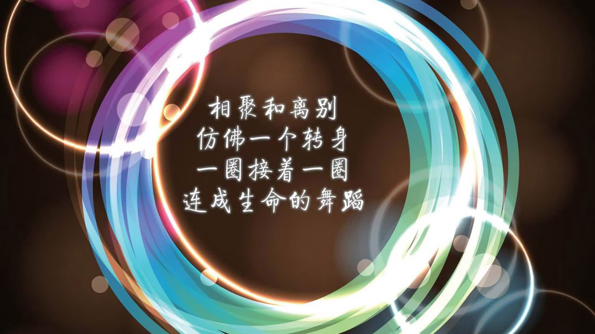 南太平洋风暴绝杀安第斯之鹰,法兰西闪电刺破南美坚盾,2026世界杯C组上演极致攻防美学